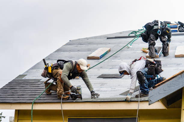 Professional Gutter Installation technician working in Johnsonville, SC